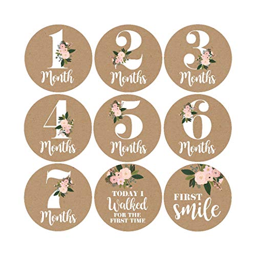 16 Rustic Floral Baby Girl Milestone Stickers, 12 Monthly Photo Picture Props For Infant Onesie, 1st Year Belly Decals, Scrapbook Memory Registry Gift, Best Shower Basket Present, Flower Birth Months