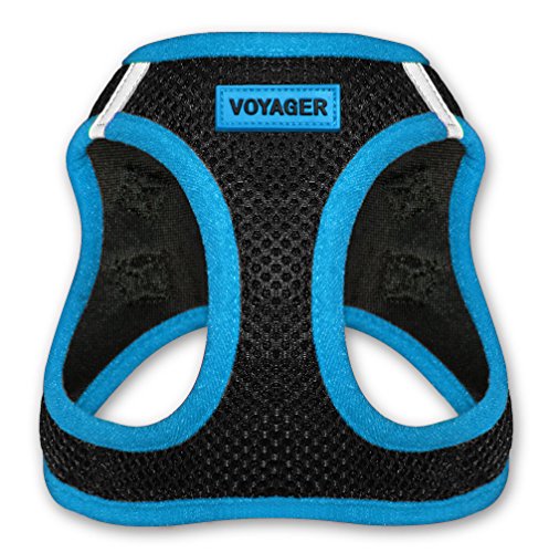 Best Pet Supplies Voyager All Weather No Pull Step In Mesh Dog Harness With Padded Vest For Puppy And Cats Blue, Small (207 Bu S)