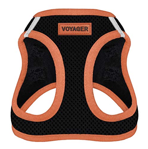 Best Pet Supplies Voyager All Weather No Pull Step In Mesh Dog Harness With Padded Vest For Puppy And Cats Orange, Small