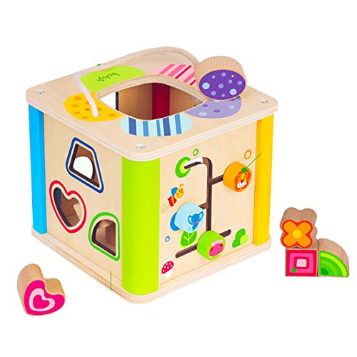 Boby Shape Sorting Cube Toys, Wooden Sorter Activity Center For Toddlers,educational Learning Toys With Bead Maze And Bright Colours, Great Gift For Girls And Boys Best For1, 2, And 3 Year Olds