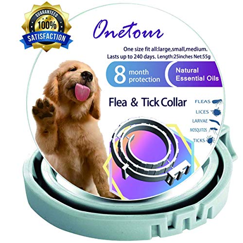 Dog Collar Treatment And Prevention Collar For Dogs Non Toxic Waterproof Best Protection And Adjustable 8 Month Essential Natural Herbal Oil Flea Collar One Size Fits All