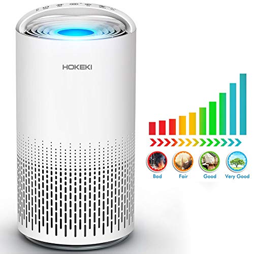 Hokeki Air Purifier For Large Room, Air Cleaner With True Hepa Filter, 5 In 1 Odor Eliminator With Night Light Air Quality Auto Sensor For Allergies And Pets,pollen,dust,smoke, Best For Home Indoor