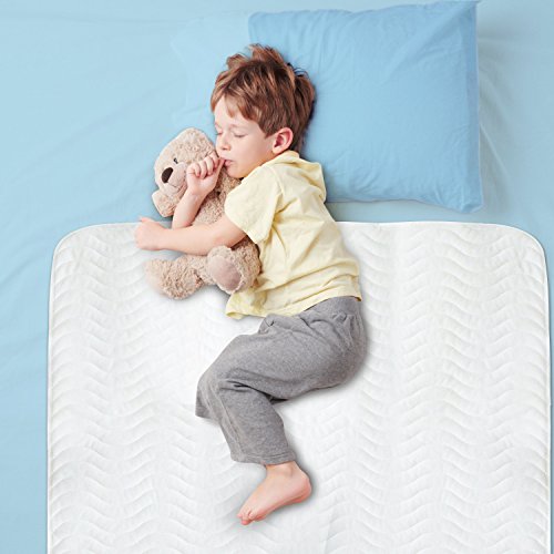 Large 29 X 52 Best Defense Medical Grade Mattress Protector, Waterproof Sheet Protection And Hospital Incontinence Bed Pad, Most Absorbent Reusable Enuresis Bed Pads For Adults, Kids, And Toddlers