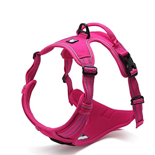 Ocsoso Dog Outdoor Harness Reflective Design For Medium Or Large Dog No Pull Best Front Range Pet Vest (l(chest 27 32"), Rose Red)