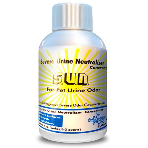 Severe Urine Neutralizer For Dog And Cat Urine Best Odor Eliminator And Stain Remover For Carpet, Hardwood Floors, Concrete, Mattress, Furniture, Laundry, Turf By Remove Urine