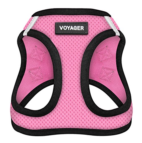 Voyager Step In Air Dog Harness All Weather Mesh, Step In Vest Harness For Small And Medium Dogs By Best Pet Supplies Pink Base, Large (chest: 18" 21")