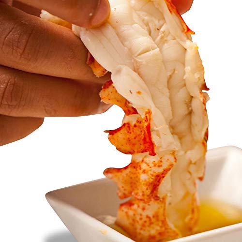 (10 Pack) Fresh Frozen Lobster Tails From Maine Best With Lobster Clasp, Crab Leg Cracker Tools, Lobster Pics, Seafood Scissor & Forks Antibiotic Free Get Maine Lobster