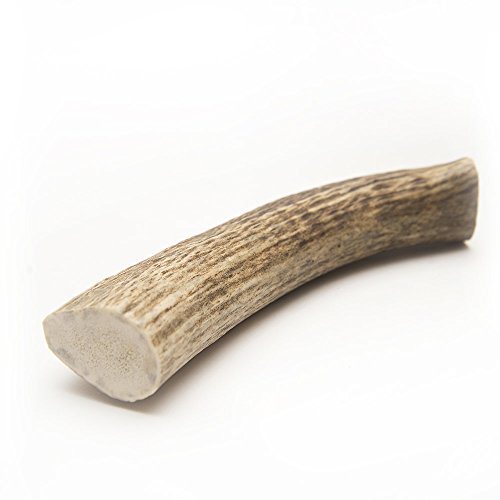 Chipper Critters Large Whole Elk Antler Dog Chew All Natural, Made In The Usa The Best, Virtually Indestructible Treat For Dogs And Puppies For Dental And Bone Health (lg 1 Pk)