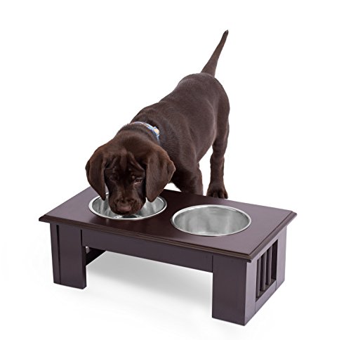 Internet's Best Traditional Elevated Pet Feeder 2 Small Dog Food Water Bowls Designer Decorative Raised Stand With Double Stainless Steel Bowls Espresso