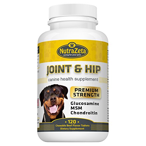 Premium 800mg Glucosamine For Dogs Hip & Joint Supplement 120 Chewable Tabs With Glucosamine Chondroitin Msm Vitamins Best Dog Joint Care Aids Mobility Made Usa 100% Guarantee