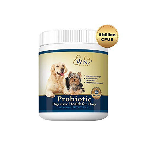 Probiotics For Dogs Best Relief From Diarrhea Constipation Allergies Bad Breath Itching Gas & Shedding Canine Probiotic Powder With Acidophilus For Puppies & Adults Made In Usa 180 Servings